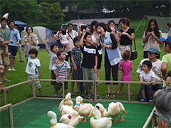 別府志高湖夏まつり